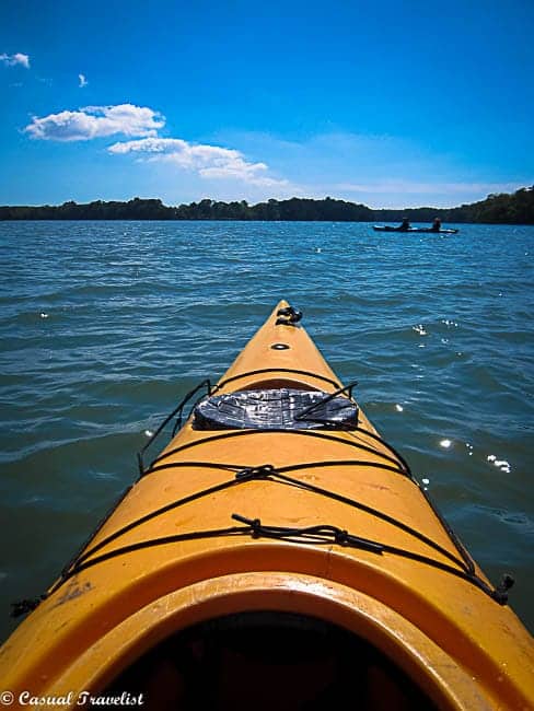 Kayak and Winery Tour on Virginia's Eastern Shore