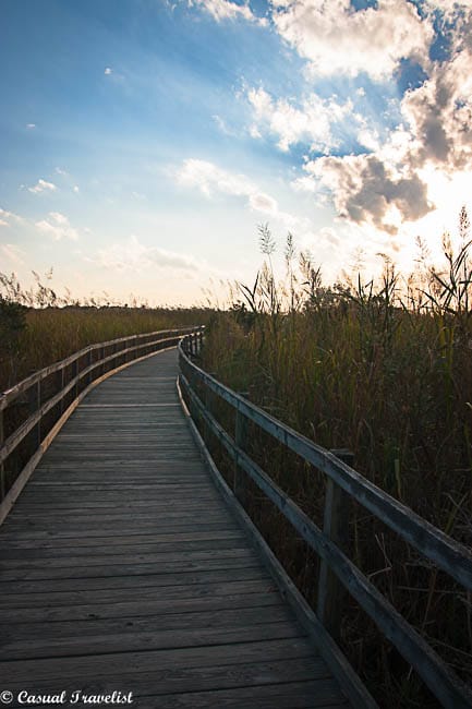 A #sunset stroll at Back Bay National Wildlife Refuge in #Virginia Beach www.casualtravelist.com