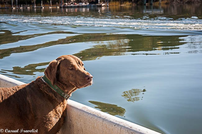 Sherman's ready to get #oysters from #Virginia's Eastern Shore www.casualtravelist.com