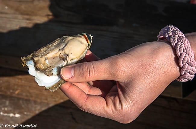#oysters from #Virginia's Eastern Shore www.casualtravelist.com
