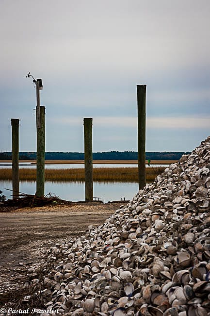 Preserving nature and a family legacy on the Eastern Shore - Casual ...