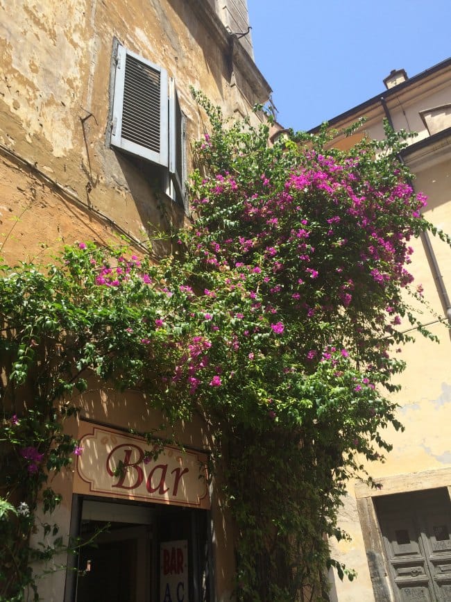 trastevere bar with flowers