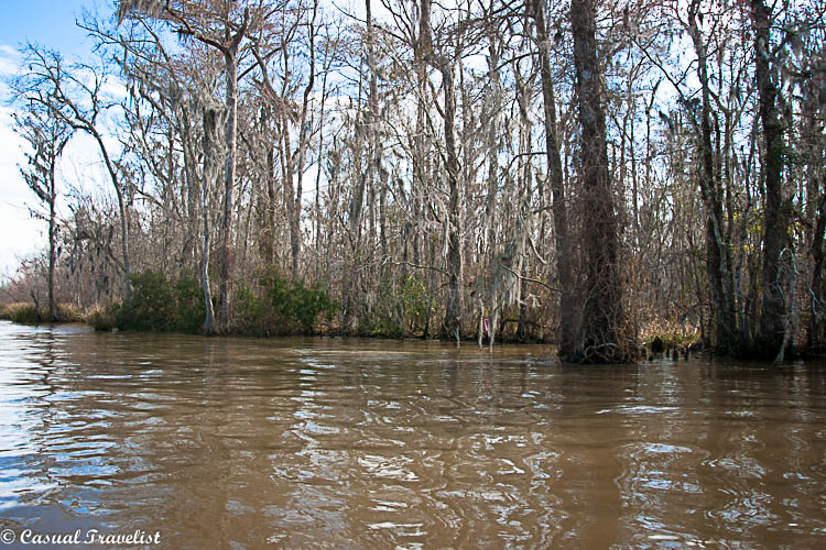 Exploring New Orleans' swamps with Cajun Encounters. www.casualtravelist.com