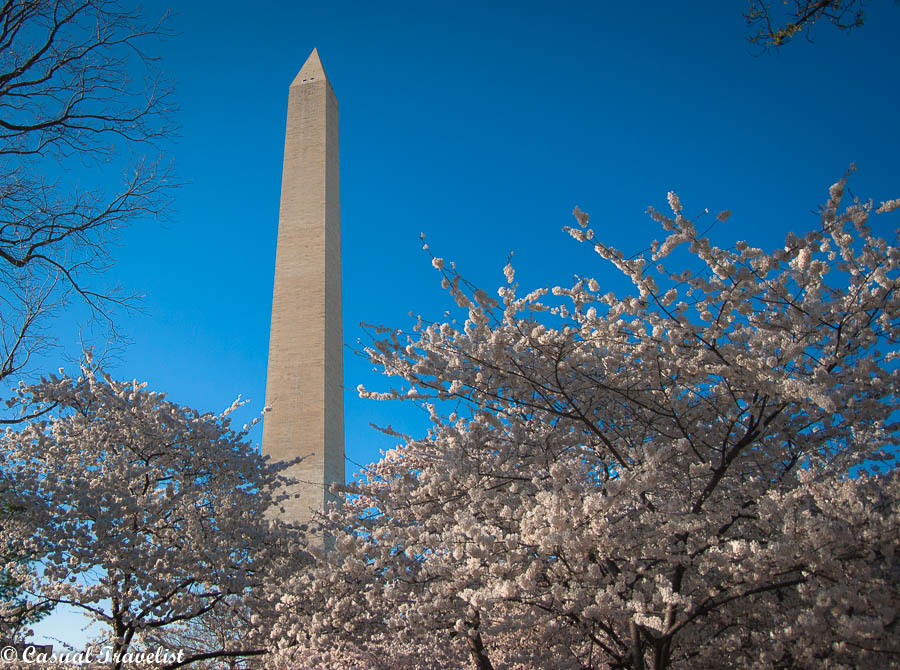 Discovering why spring time is the best season to visit Washington DC www.casualtravelist.com