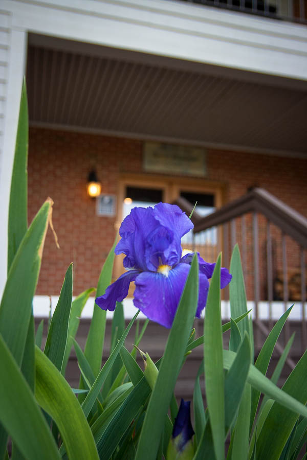 A welcoming Shenandoah hideaway at the Iris Inn www.casualtravelist.com