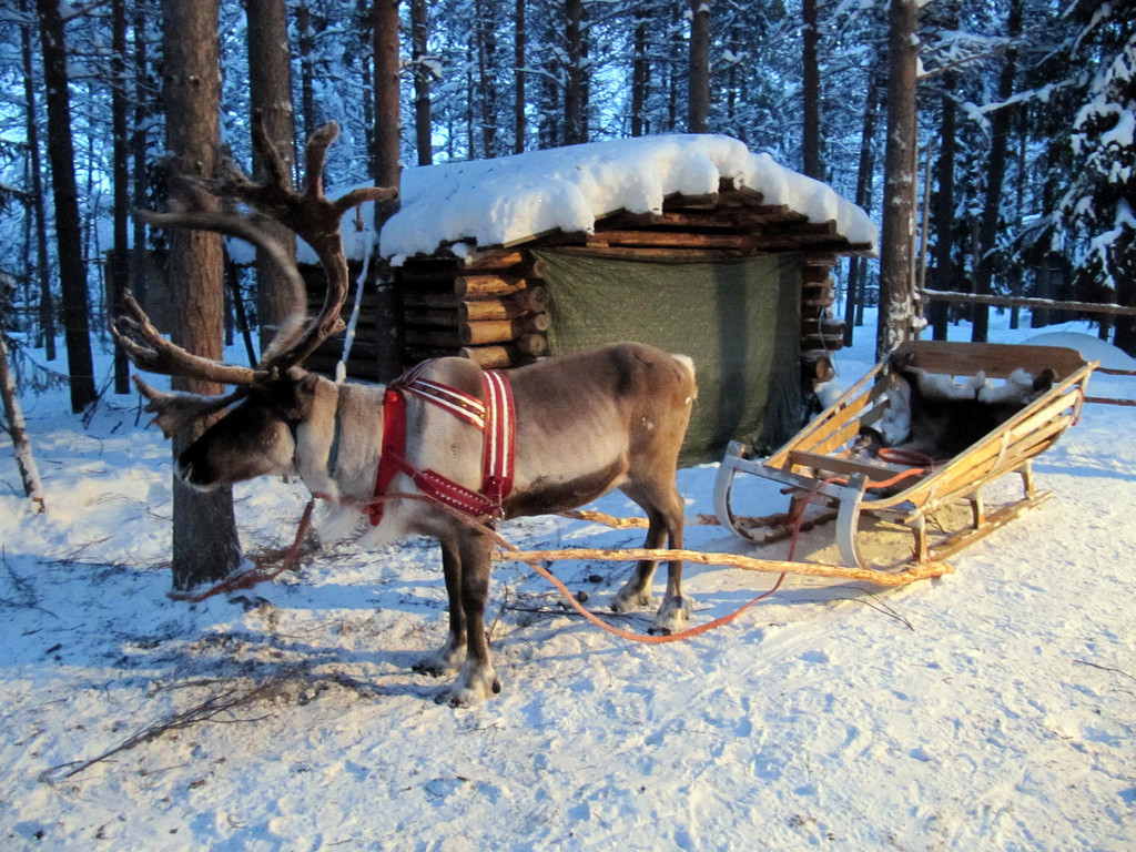 Head north to Rovaniemi, Finland to visit the Hometown of Santa Claus and take a reindeer drawn sleigh ride.The Best Cities to visit for Christmas-www.casualtravelist.com 