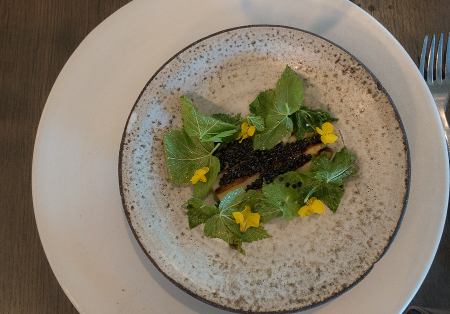 White asparagus, black currant leaves and barley-What it's like to eat at Noma, Copenhagen www.casualtravelist.com
