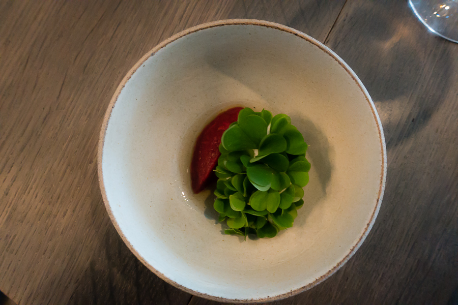 Masterful simplicity at Copenhagen's Noma, one of my favorite photos of 2015. www.casualtravelist.com