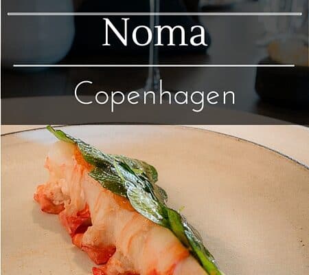 What it's like to eat at Noma, Copenhagen www.casualtravelist.com