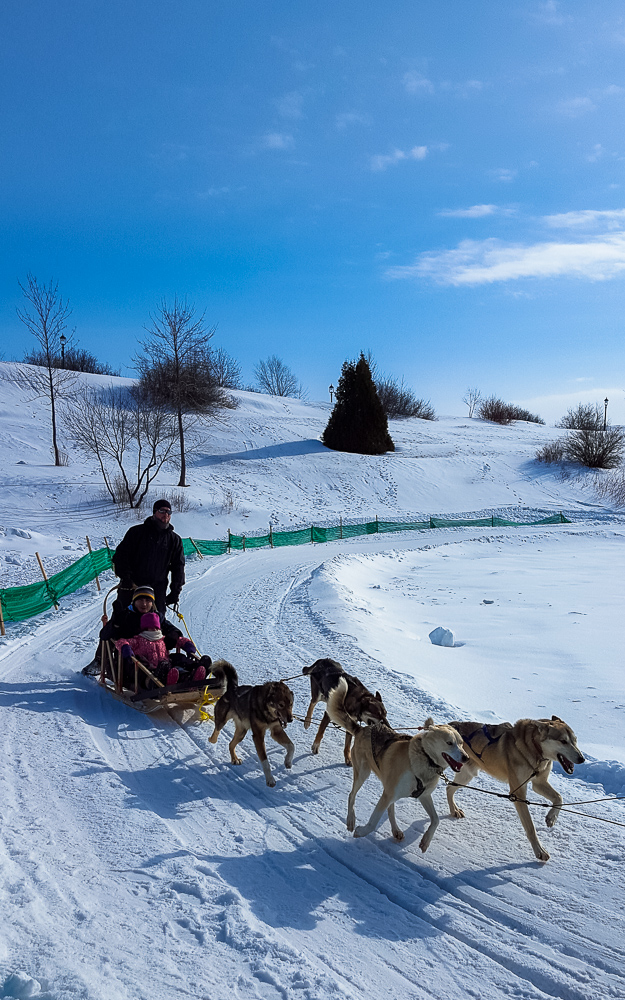 Dog sledding, just one of the fun winter activities you can do at Quebec's Winter Carnival. www.casualtravelist.com