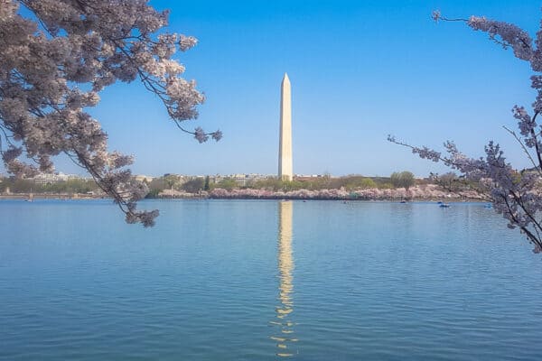 The Best Places in the World to See Cherry Blossoms www.casualtravelist.com