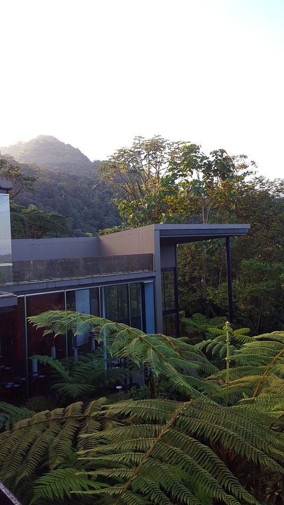 Mashpi Lodge-Luxury in Ecuador's Cloud Forest