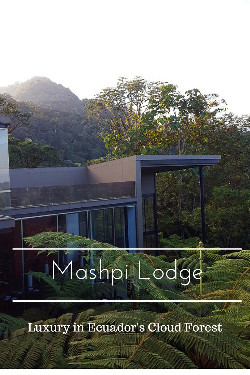 Mashpi Lodge-Luxury in Ecuador's Cloud Forest www.casualtravelist.com