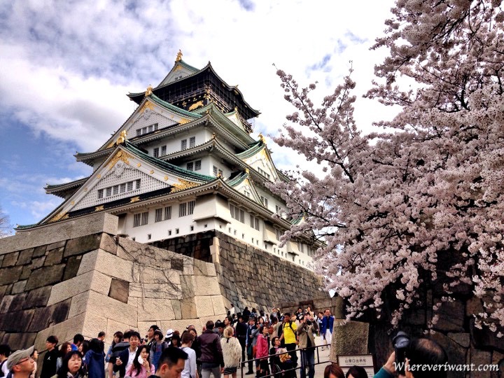 Osaka,Japan- The Best Places in the World to See Cherry Blossoms www.casualtravelist.com
