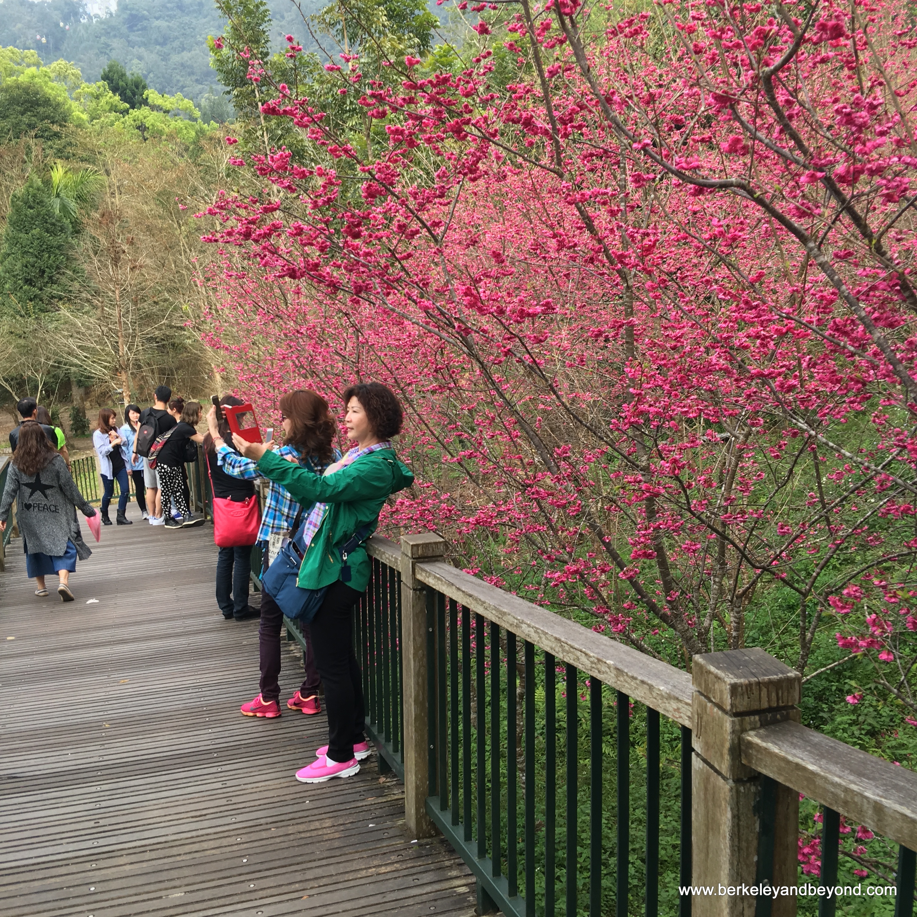 Sun Moon Lake, Tawain- The Best Places in the World to See Cherry Blossoms www.casualtravelist.com