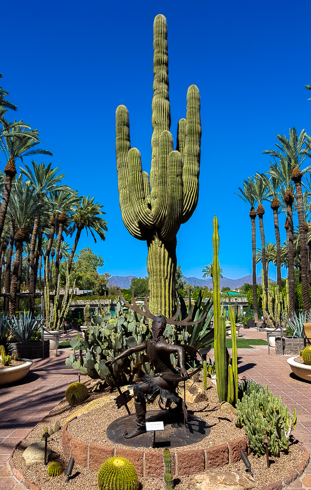 A Luxury Desert Oasis at the Hyatt Regency Scottsdale - Casual Travelist