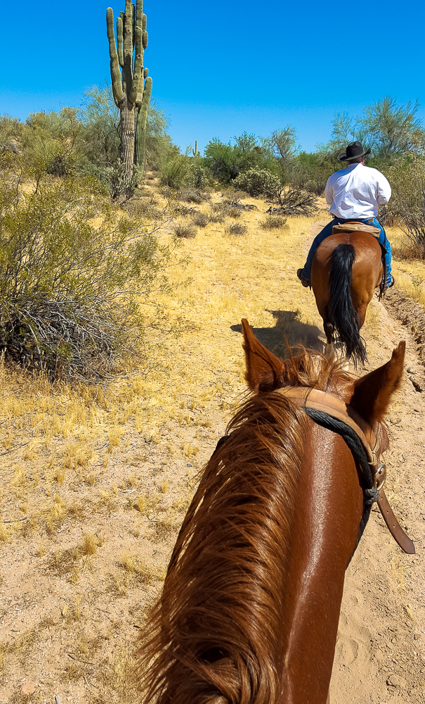 Horseback riding in the McDowell Mountains-Desert Adventures: The Best Things to Do in Phoenix, Arizona www.casualtravelist.com