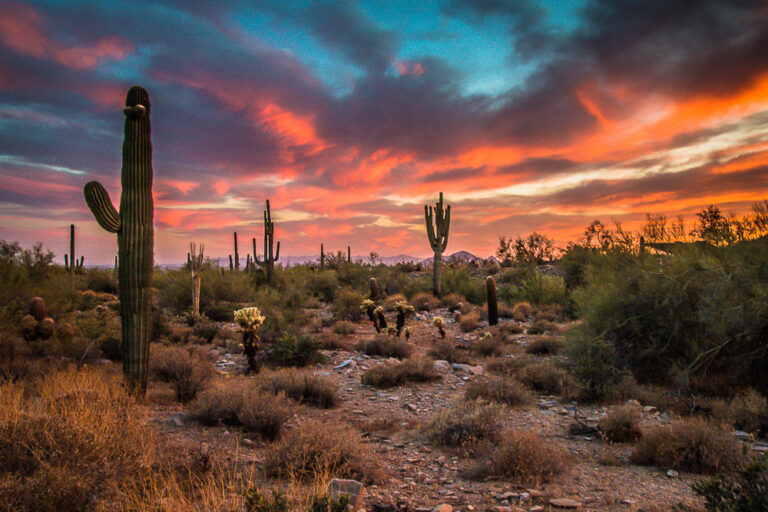 How to Plan the Perfect Weekend Getaway in Phoenix, Arizona - Casual ...