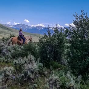 Horseback Riding at Rusty Spurr Ranch in Colorado www.casualtravelist.com