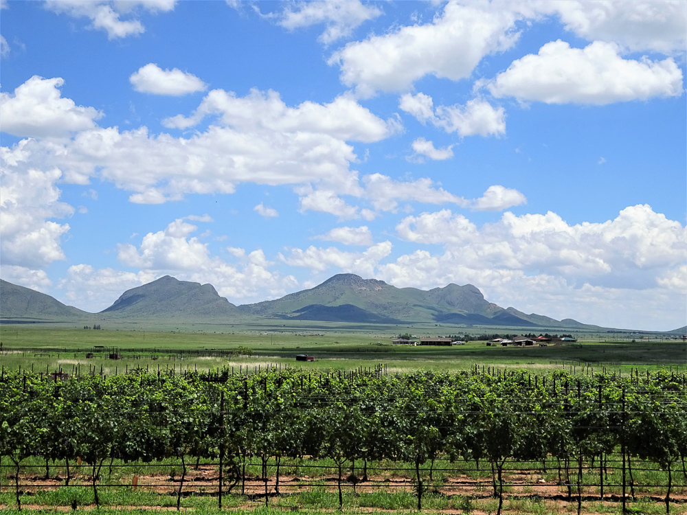 Sonoita Arizona-The Best Wine Regions in the United States to Check Out Right Now www.casualtravelist.com