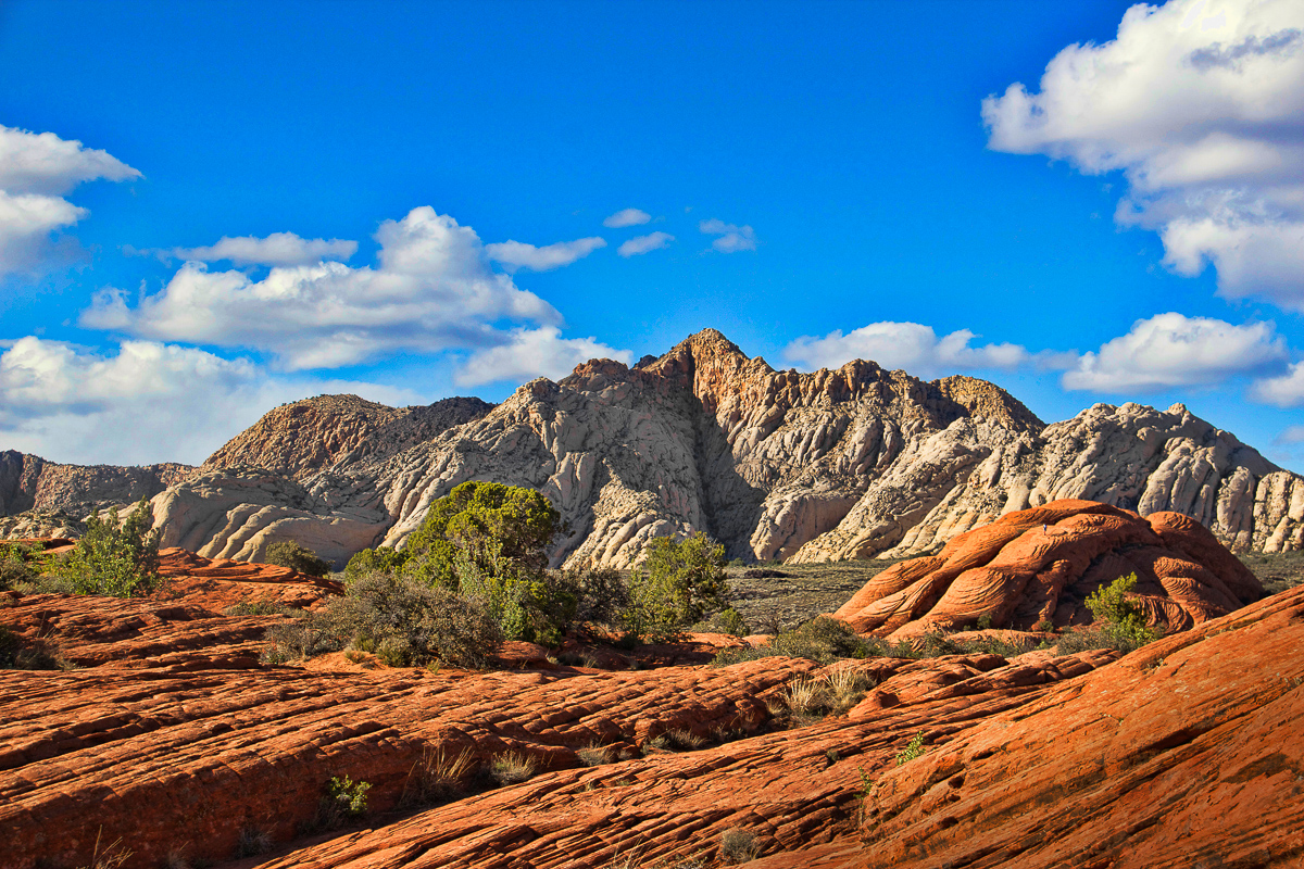 Snow Canyon State Park-Five Great Reasons to Visit St. George, Utah this Winter www.casualtravelist.com