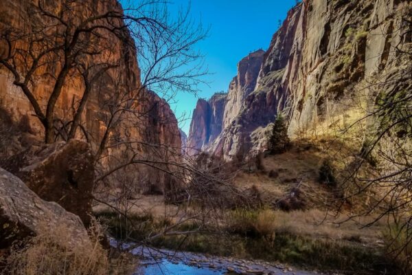 The Best Road Trip you Can Take from Las Vegas: Exploring the National Parks of the American Southwest www.casualtravelist.com