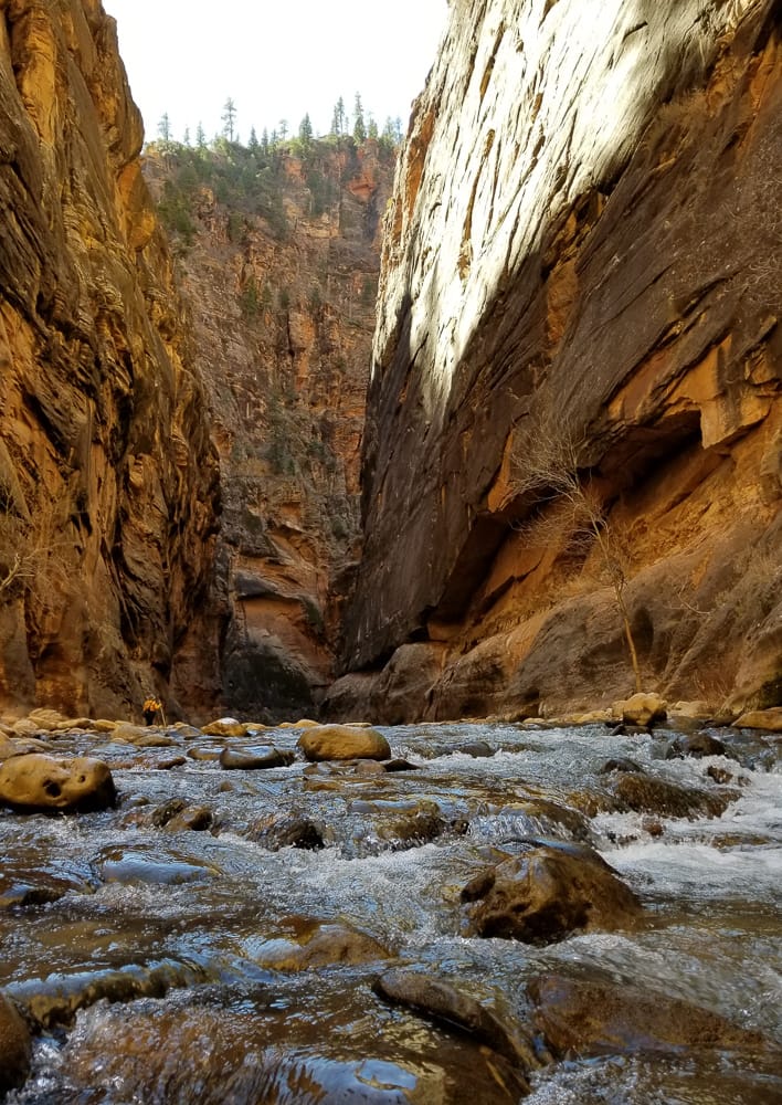 Hiking the Narrows, Zion National Park-Monthly Musings: February 2018 www.casualtravelist.com