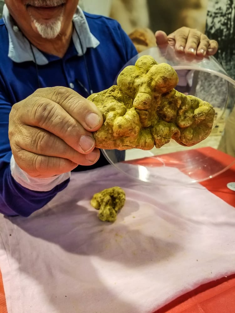 What it's Like to Visit the International Alba White Truffle Fair in Italy www.casualtravelist.com