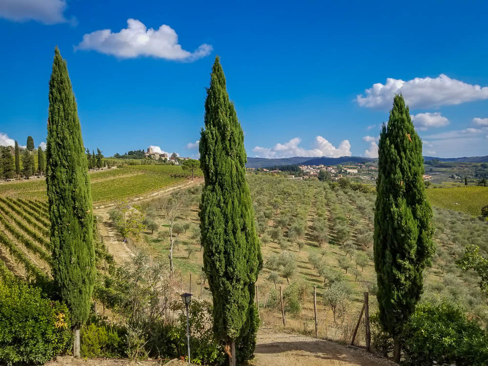 Chianti region in Tuscany - Tips for Choosing the Best Wine Tour in Tuscany for You www.casualtravelist.com