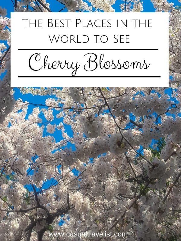 The Best Places in the World to See Cherry Blossoms - Casual Travelist