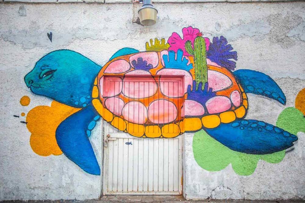 Whale Watching in Baja - la paz street art