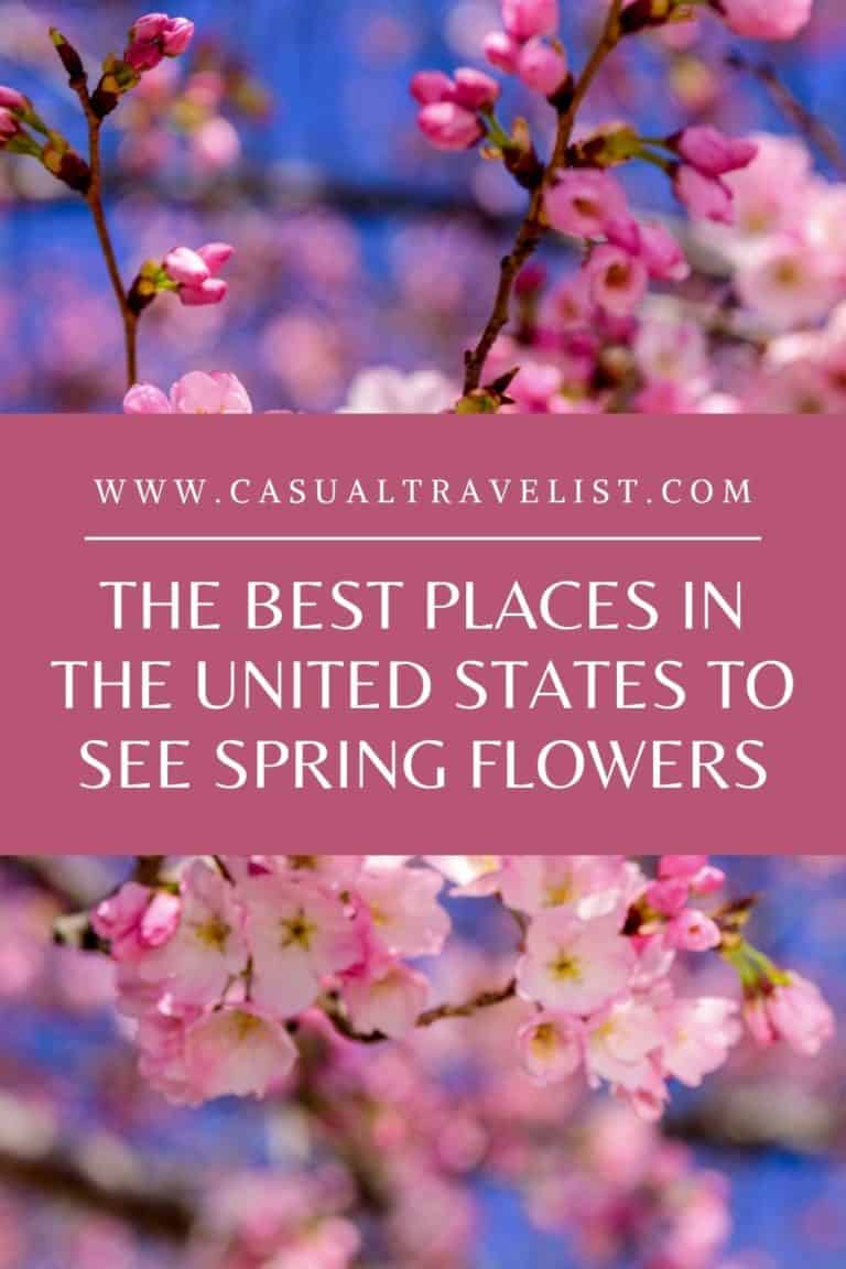 The Best Places to See Spring Flowers in the United States Casual