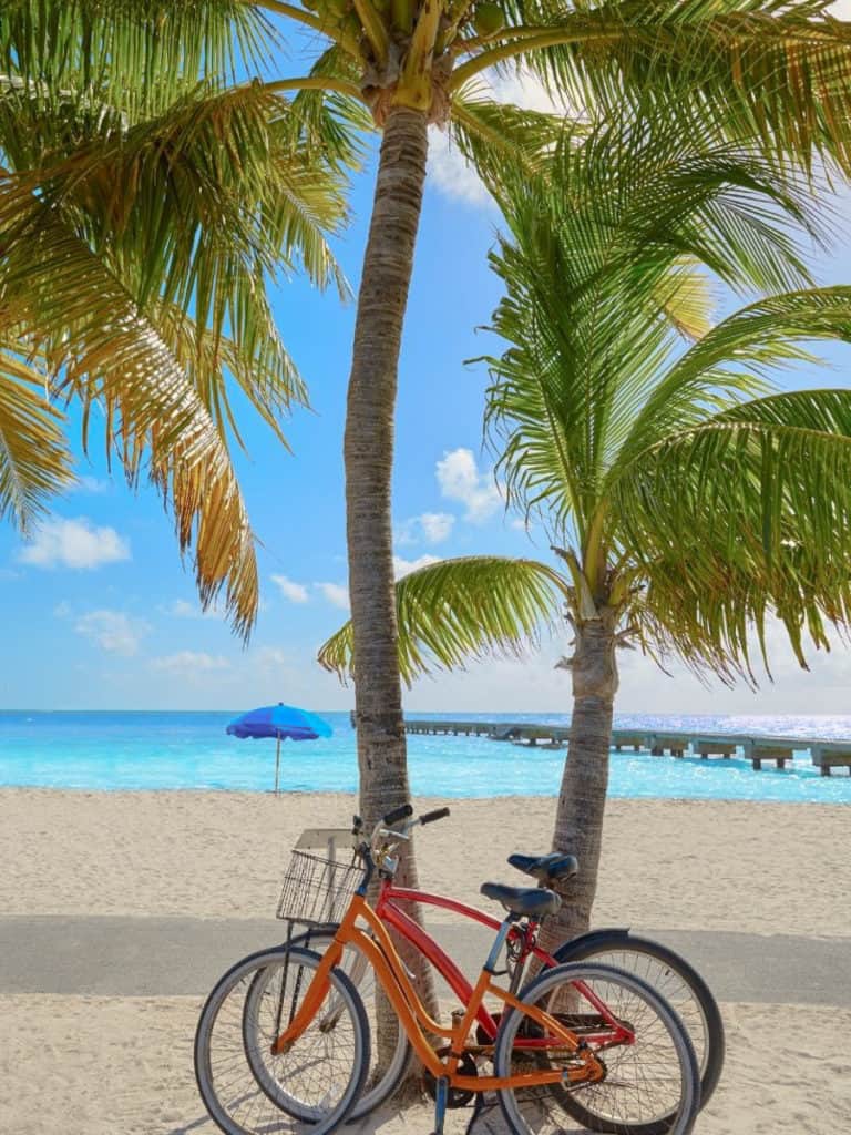 Key West - bikes on the beach with palm trees