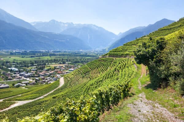 7 Days in Switzerland-Rhone Valley